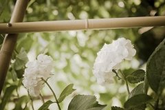 综쾯財ɢ