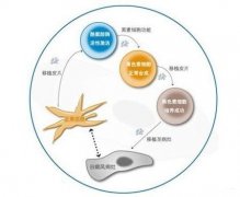综Ӧϰ
