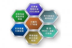 综ӦЩճ
