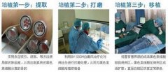 粻ƵԭЩ ԴõİҽԺ