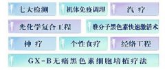 Ԥ縴
