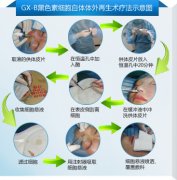 Ů԰粡ʲô